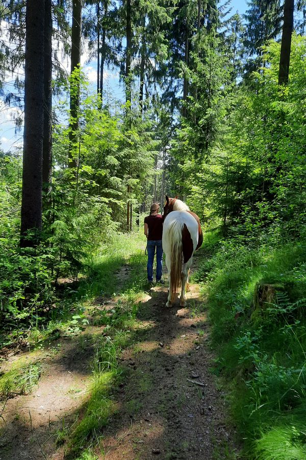 Iris Wolff mit Pferd auf einem Waldweg